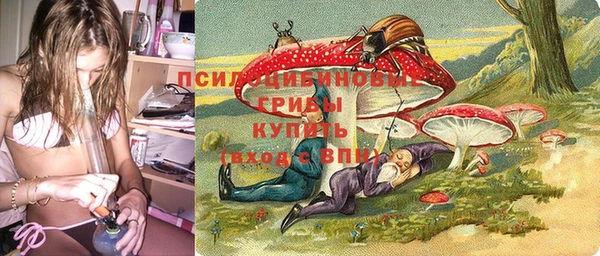 спайс Алексеевка