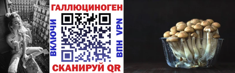 Купить закладки  Осинники  Галлюциногенные грибы Magic Shrooms 